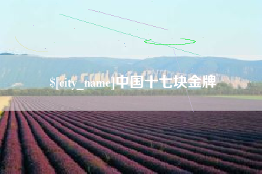 安康中国十七块金牌
