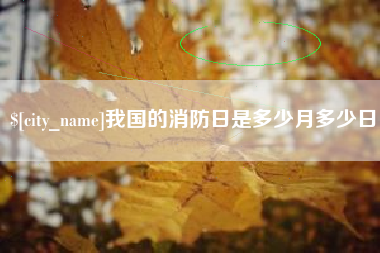 安康我国的消防日是多少月多少日