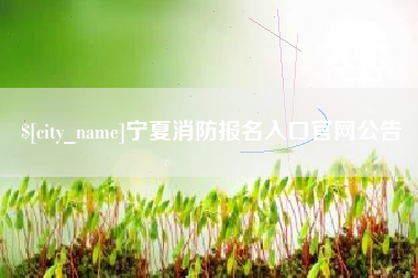 安康宁夏消防报名入口官网公告