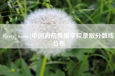 安康中国消防救援学院录取分数线公布