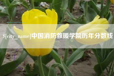 安康中国消防救援学院历年分数线