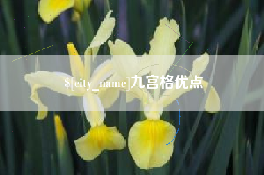 安康九宫格优点