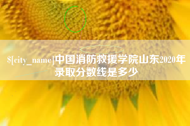安康中国消防救援学院山东2020年录取分数线是多少