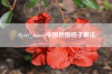 安康中国地图格子画法