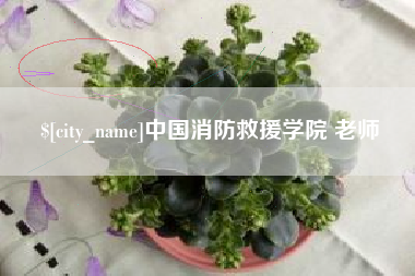 安康中国消防救援学院 老师