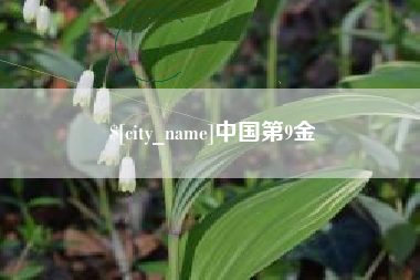 安康中国第9金