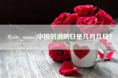 安康中国的消防日是几月几日？