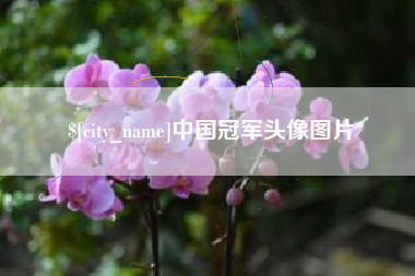 安康中国冠军头像图片