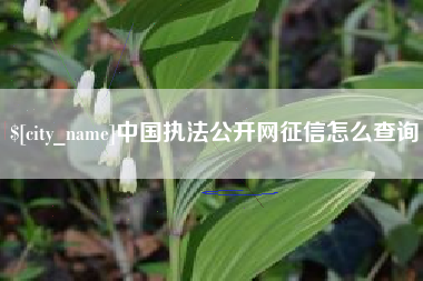 安康中国执法公开网征信怎么查询