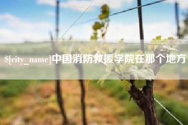 安康中国消防救援学院在那个地方