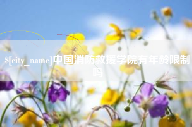 安康中国消防救援学院有年龄限制吗