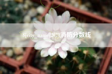 安康2021消防分数线