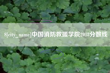 安康中国消防救援学院2018分数线