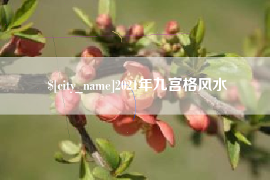 安康2021年九宫格风水