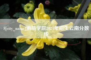 安康消防学院2024年招生云南分数线