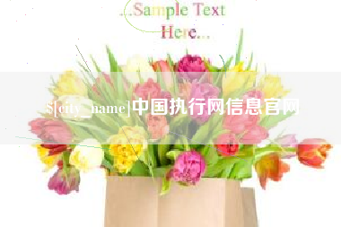 安康中国执行网信息官网