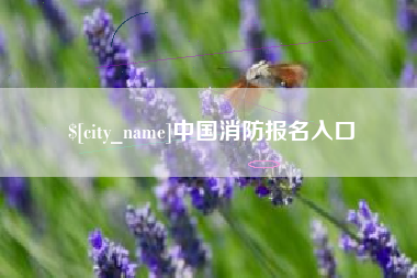 安康中国消防报名入口