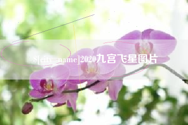 安康2020九宫飞星图片