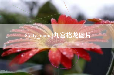 安康九宫格龙图片