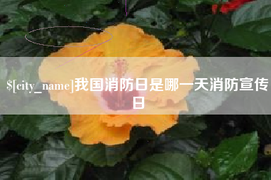 安康我国消防日是哪一天消防宣传日