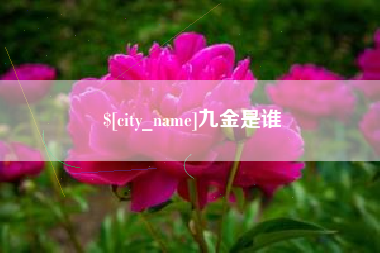 安康九金是谁