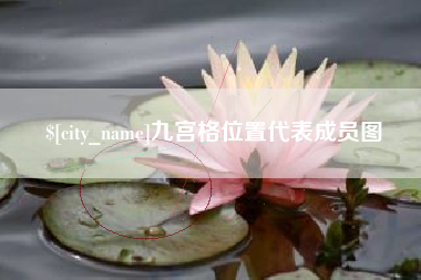 安康九宫格位置代表成员图