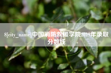 安康中国消防救援学院2019年录取分数线