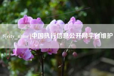 安康中国执行信息公开网平台维护