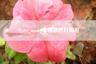 安康全国消防日海报