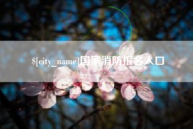 安康国家消防报名入口