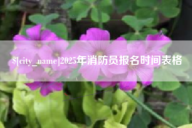 安康2025年消防员报名时间表格