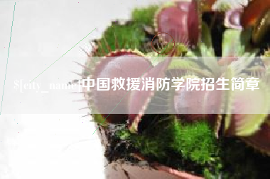 安康中国救援消防学院招生简章