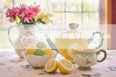 安康中国消防救援学院分数2020