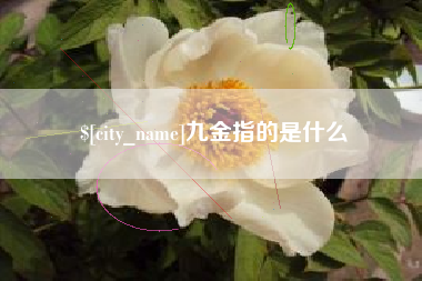 安康九金指的是什么