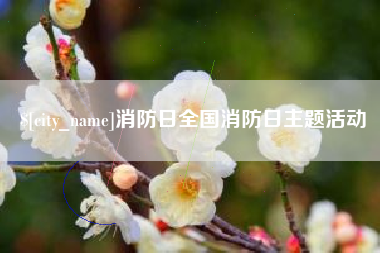 安康消防日全国消防日主题活动