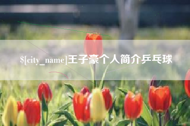 安康王子豪个人简介乒乓球