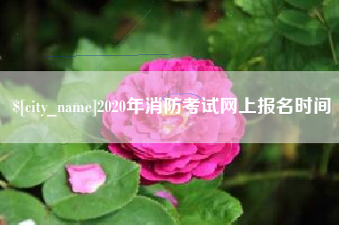 安康2020年消防考试网上报名时间