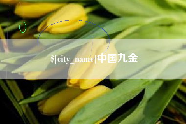 安康中国九金