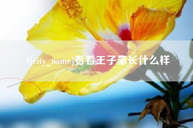 安康看看王子豪长什么样