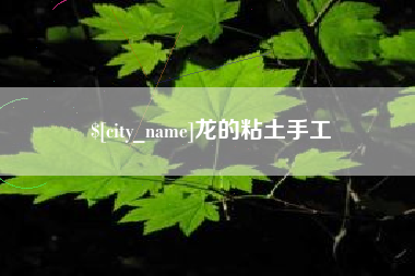 安康龙的粘土手工