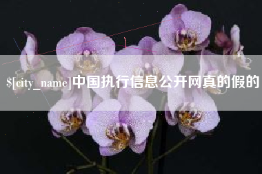 安康中国执行信息公开网真的假的