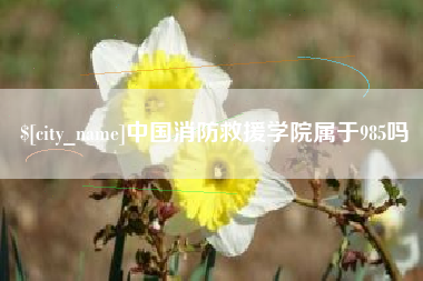 安康中国消防救援学院属于985吗