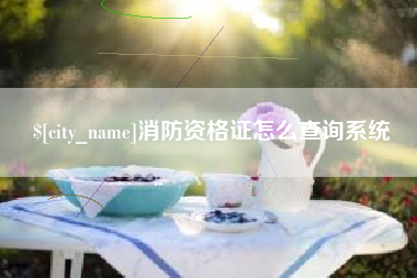 安康消防资格证怎么查询系统