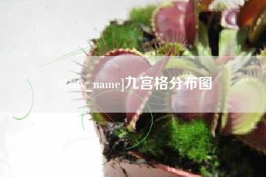 安康九宫格分布图