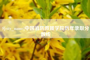 安康中国消防救援学院历年录取分数线