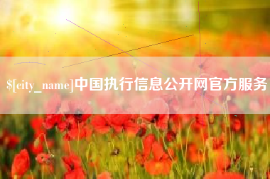 安康中国执行信息公开网官方服务