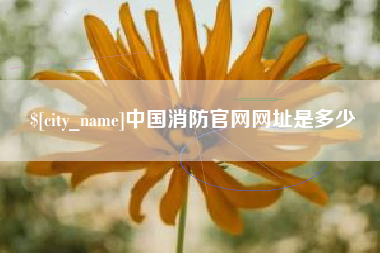 安康中国消防官网网址是多少