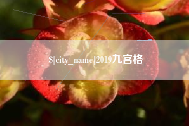 安康2019九宫格