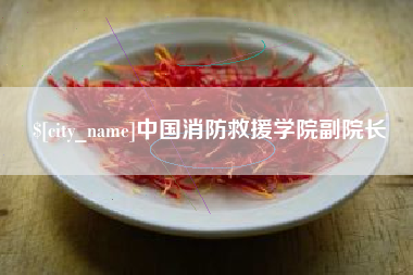 安康中国消防救援学院副院长