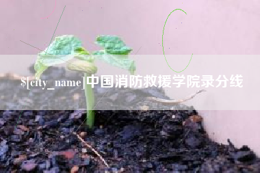 安康中国消防救援学院录分线